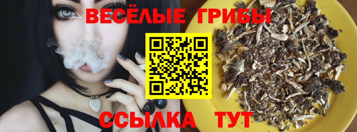 Галлюциногенные грибы Magic Shrooms Елизово