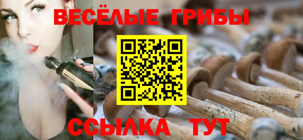 Псилоцибиновые грибы Psilocybine cubensis  хочу наркоту  Елизово  Вход с VPN  Псилоцибиновые грибы мухоморы 