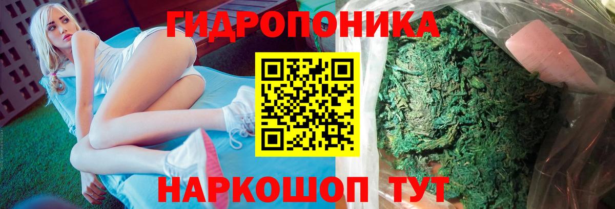 Шишки марихуана сатива Елизово